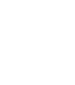 Brisbane Lions