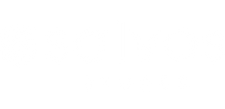 Salvos Stores