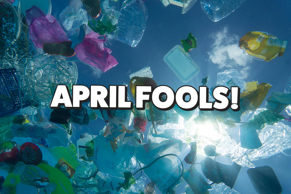 Introducing: Our First Ever Plastic Mailer | HeapsGood